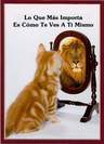 Taller COACHING Refuerza tu AUTOESTIMA PVP 40€ Madrid